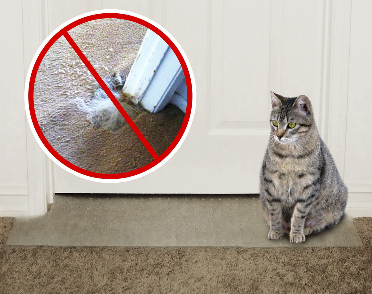 KittySmart carpet scratch stopper in doorway protects carpets from feline scratching.
