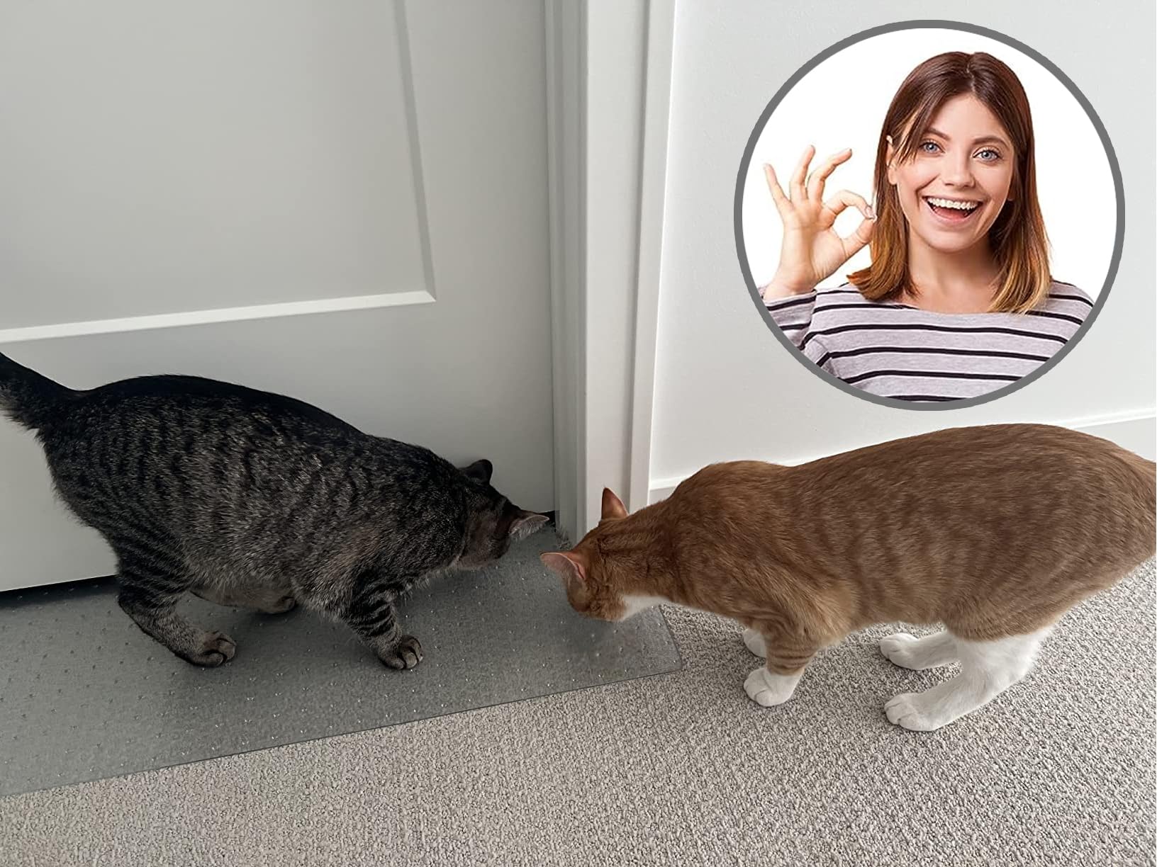 KittySmart easy cleaning and recyclable construction for mindful use.
