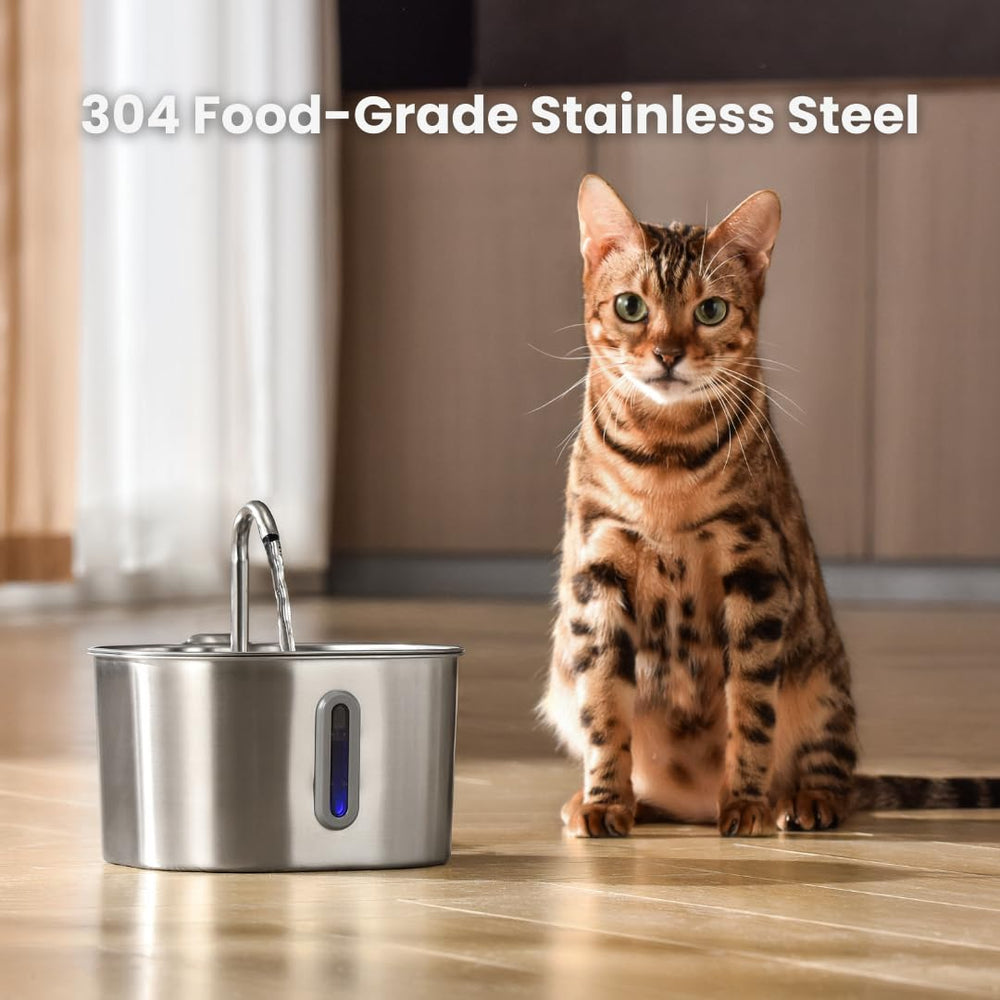 KittySpout 4L large capacity reservoir delivering extended hydration between refills.