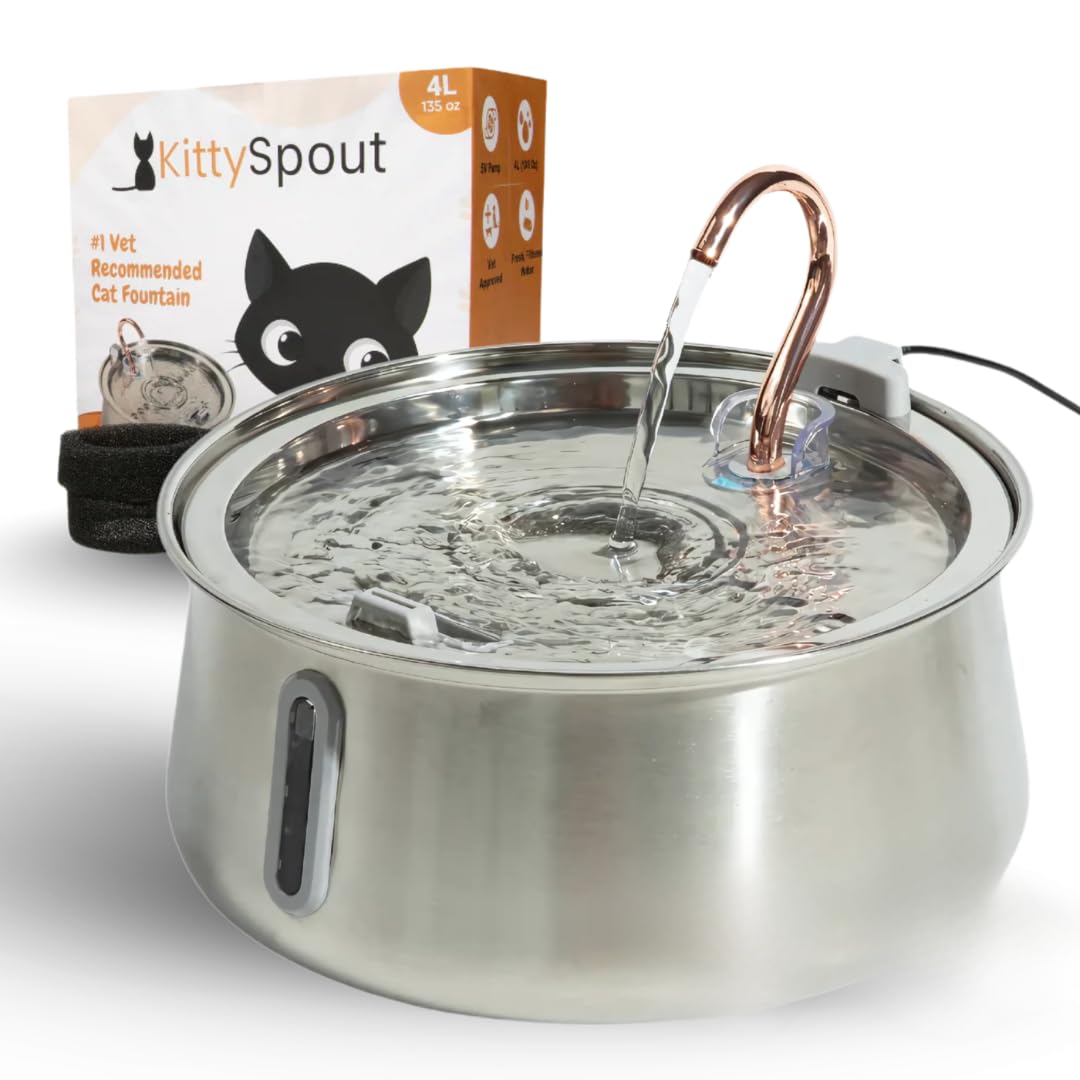 KittySpout 4L reservoir with visibility window for easy hydration monitoring.