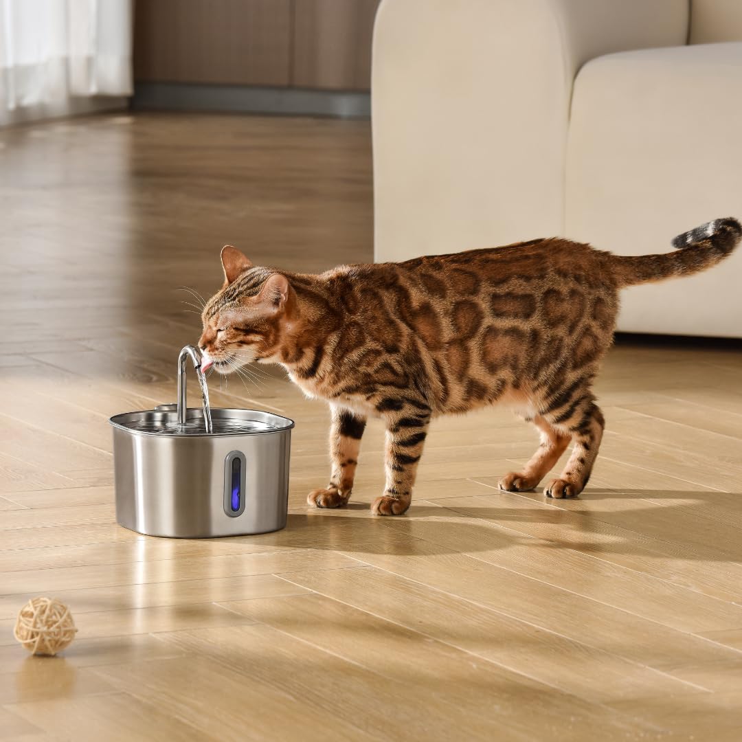 KittySpout dishwasher-safe top tray simplifies cleaning after use.