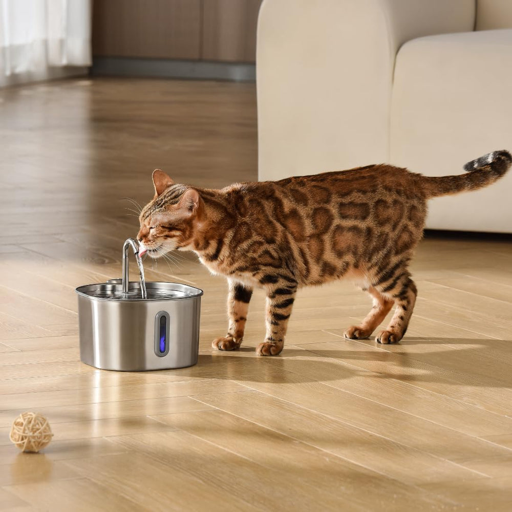 KittySpout dishwasher-safe top tray simplifies cleaning after use.
