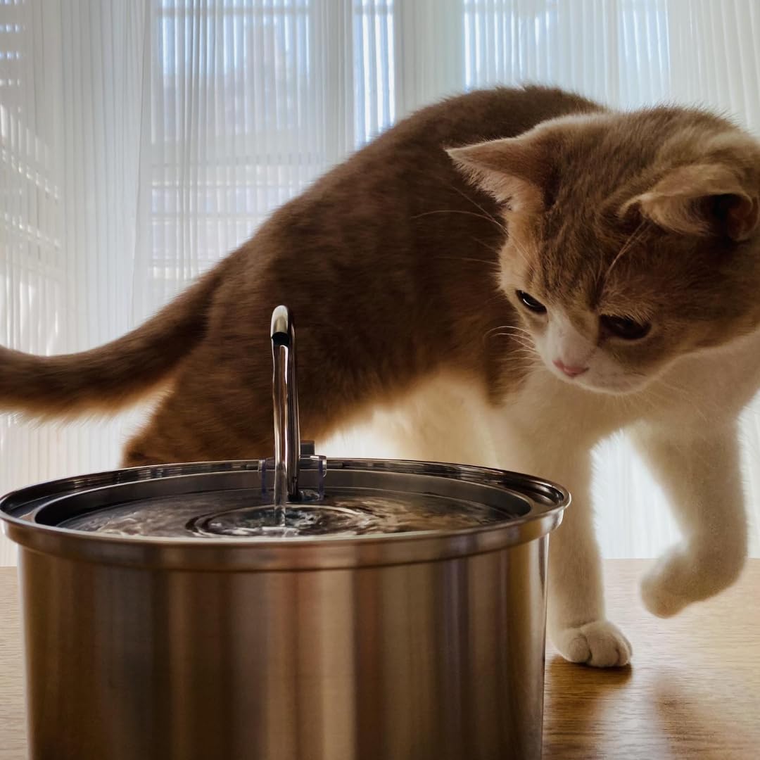 KittySpout dishwasher-safe top tray indicates effortless cleaning routine.