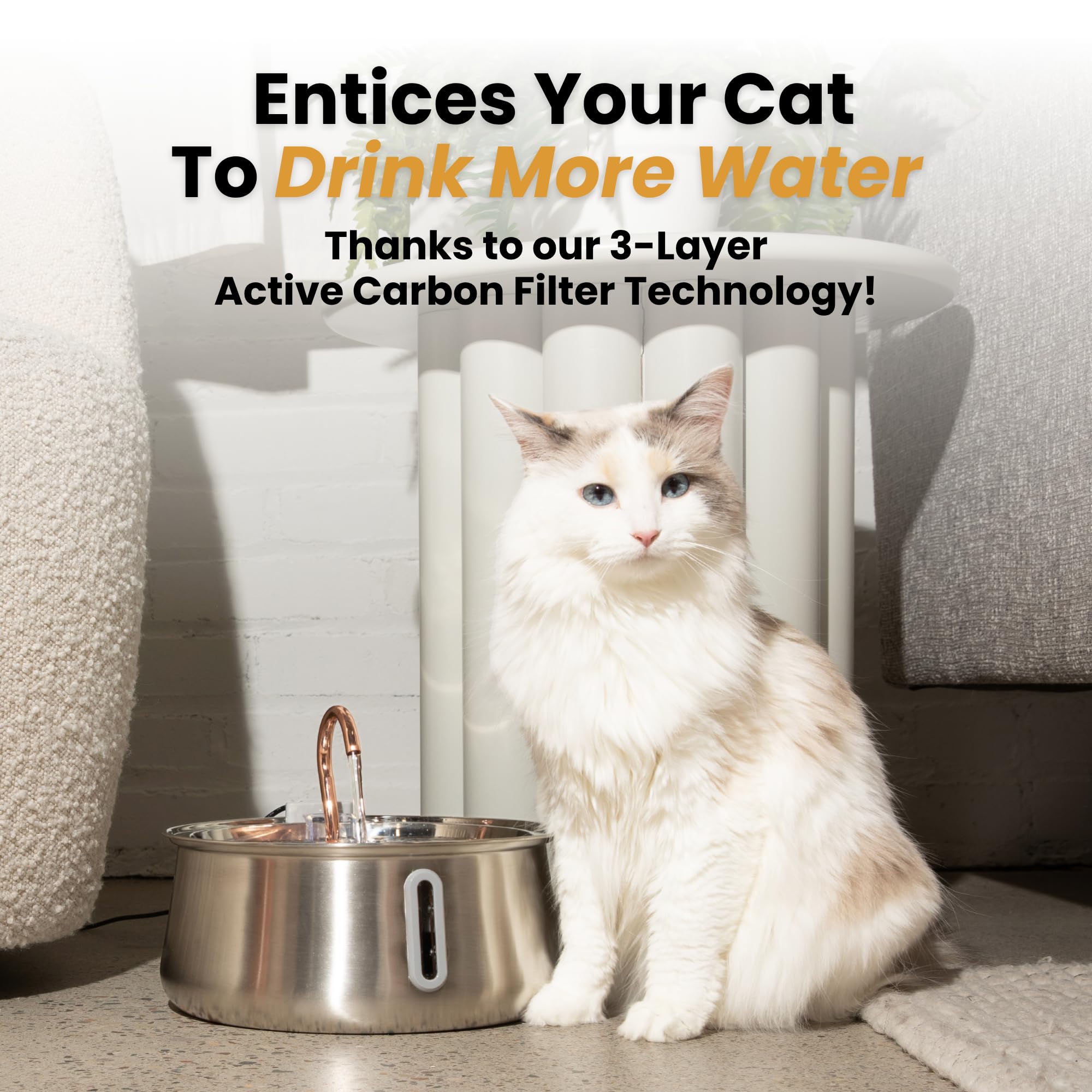 KittySpout dishwasher-safe top tray simplifies cleaning and maintenance.