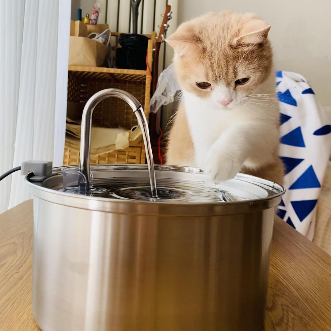 KittySpout durable stainless steel construction emphasizes hygienic, long-lasting design.