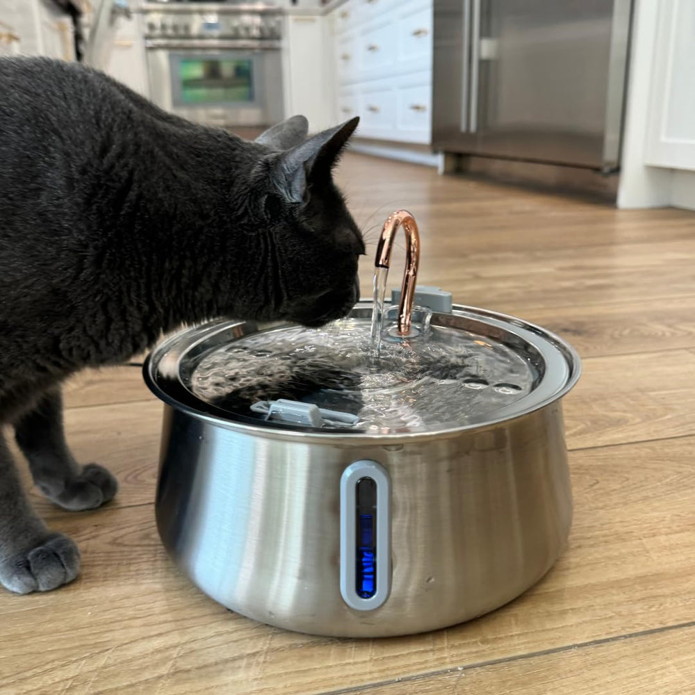 KittySpout easy cleaning promotes healthier drinking.