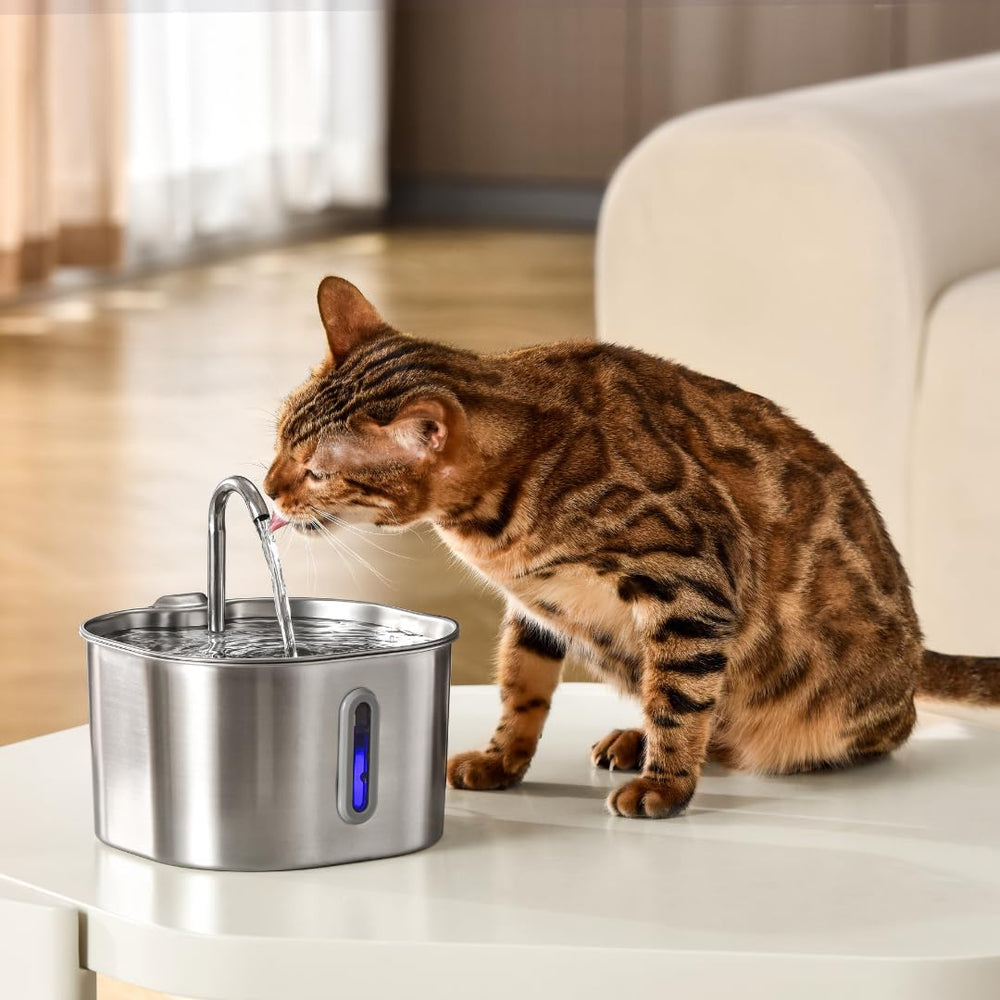 KittySpout sleek indoor design blends with modern home décor.
