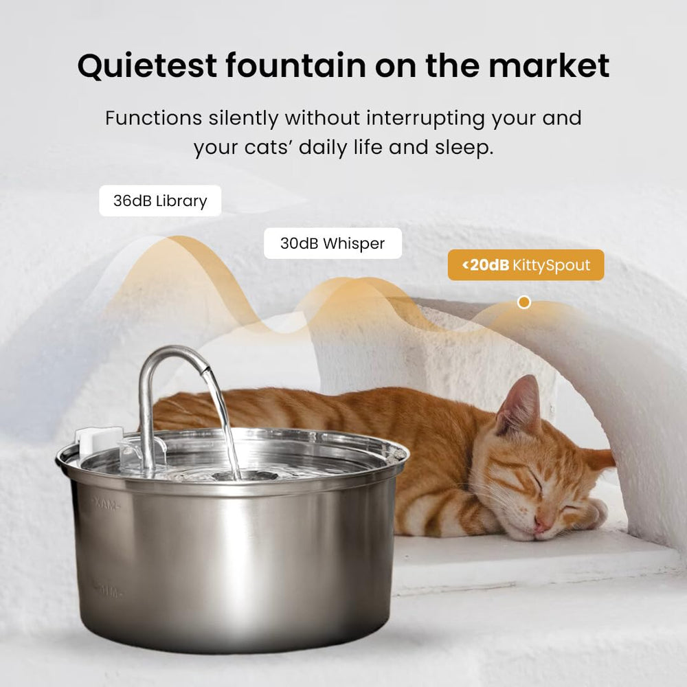 KittySpout ultra-quiet pump image conveys silent operation during daily use.