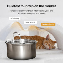 KittySpout ultra-quiet pump image conveys silent operation during daily use.