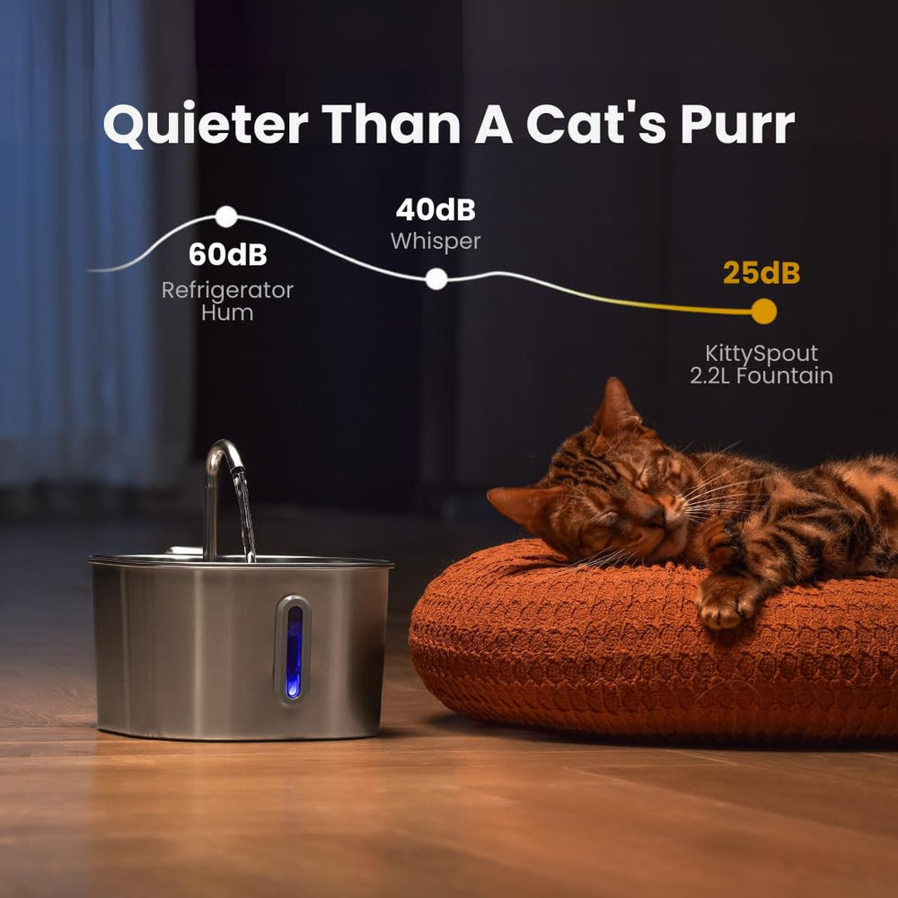KittySpout ultra-quiet pump operating quietly to keep a calm home.