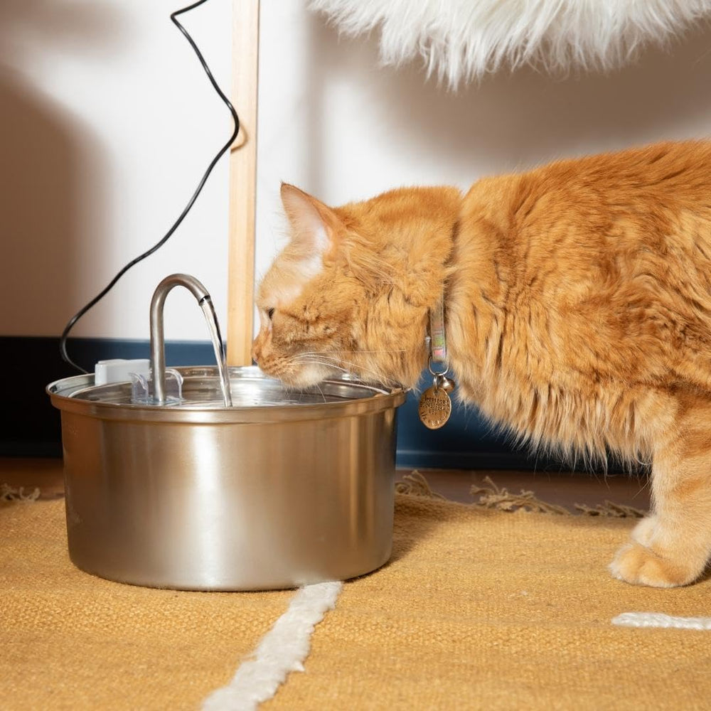 KittySpout water level indicator highlights easy monitoring of water status.