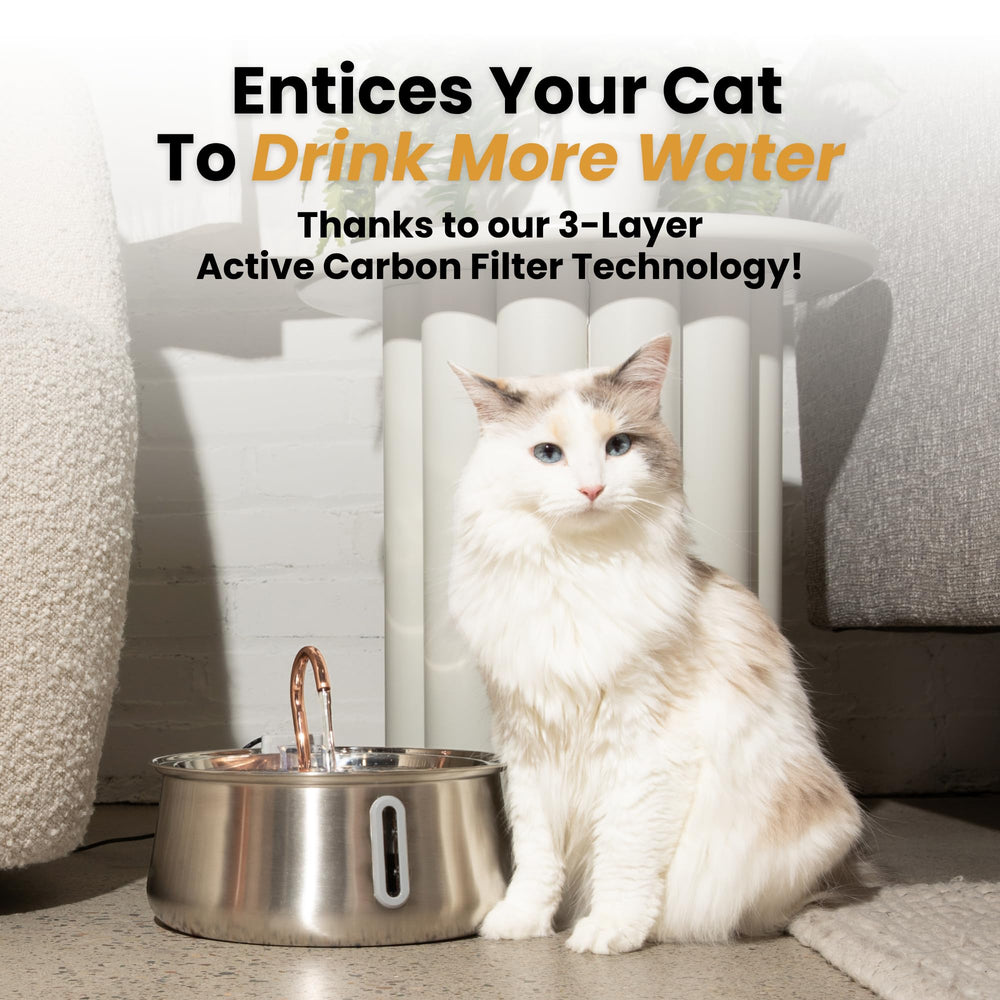 KittySpout water level window lets you see remaining water without removing the lid