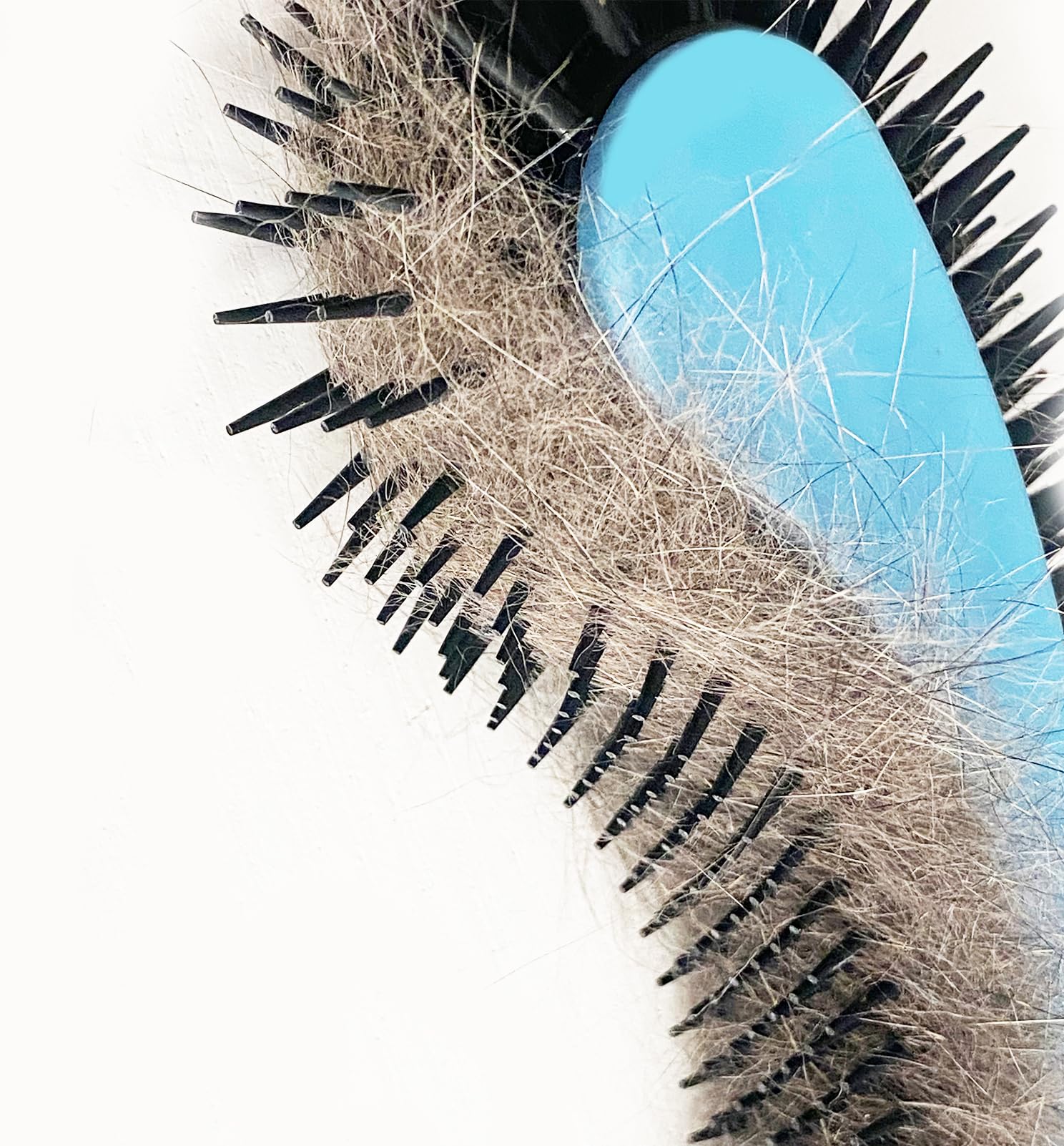 KittyWand cat brush blue slim profile suits small spaces.