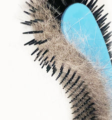 KittyWand cat brush blue slim profile suits small spaces.