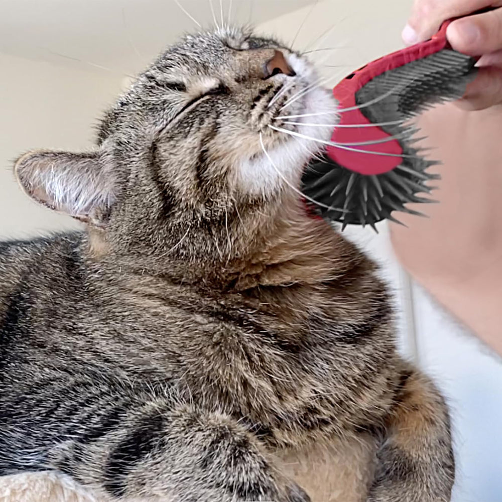 KittyWand promotes stress-free grooming and shinier coats.