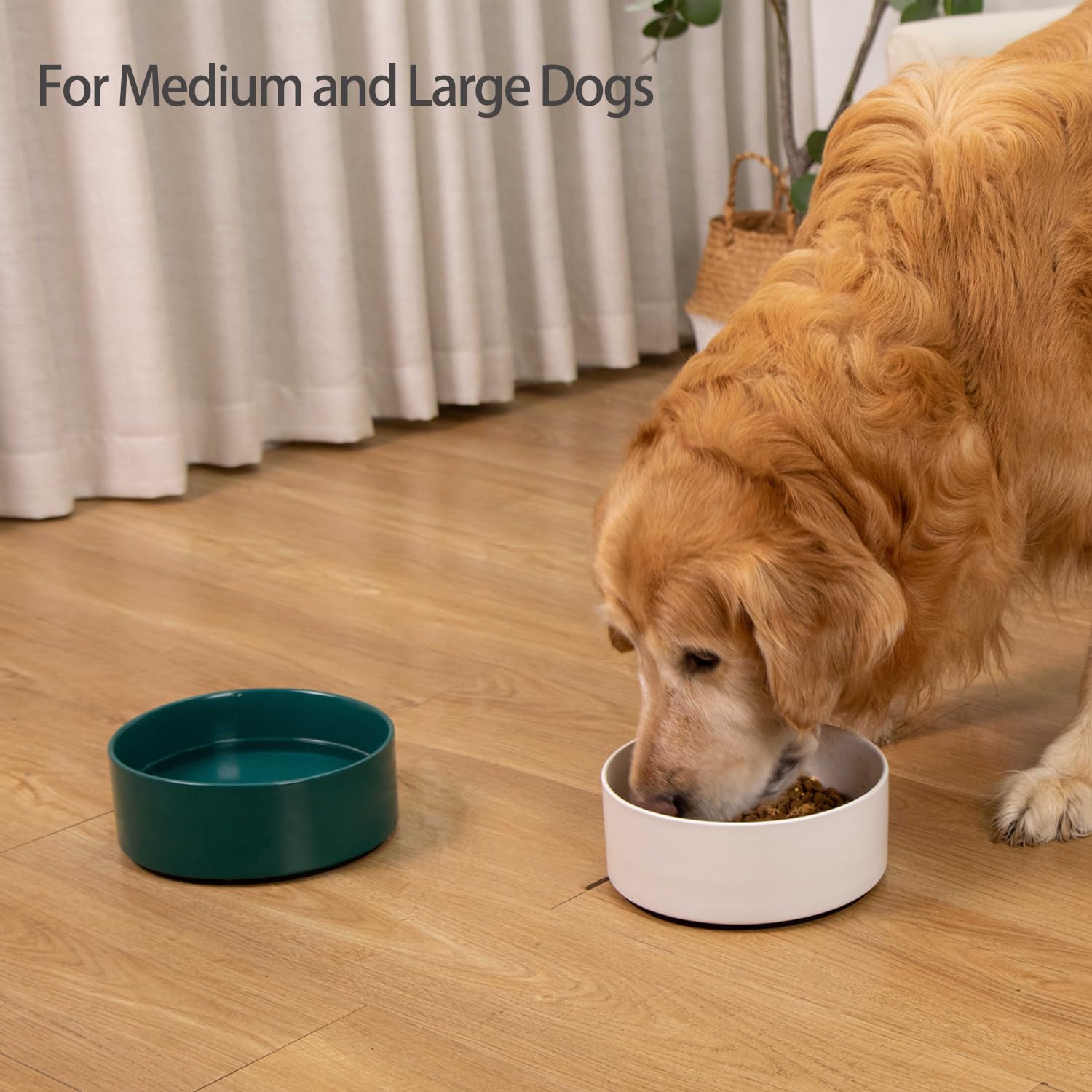 Kitwinney 8-inch diameter bowl with 64oz capacity for large dogs