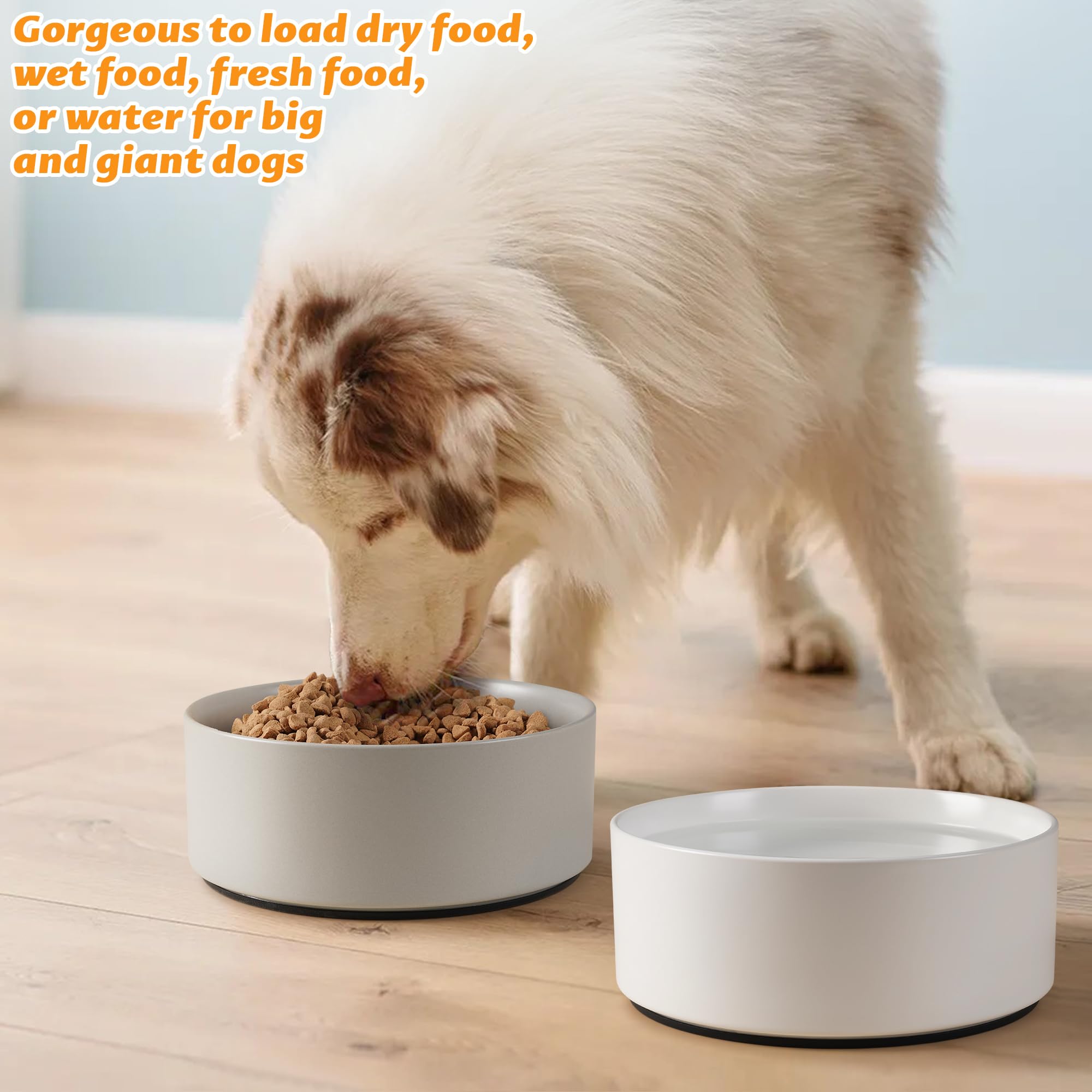8-inch diameter bowl suitable for small to large dogs.