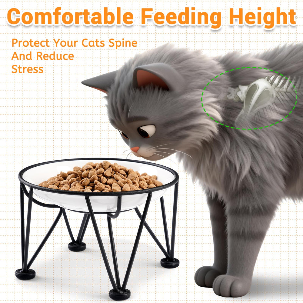 Kitwinney elevated cat bowls featuring paw design promote comfortable eating posture and easy cleaning.