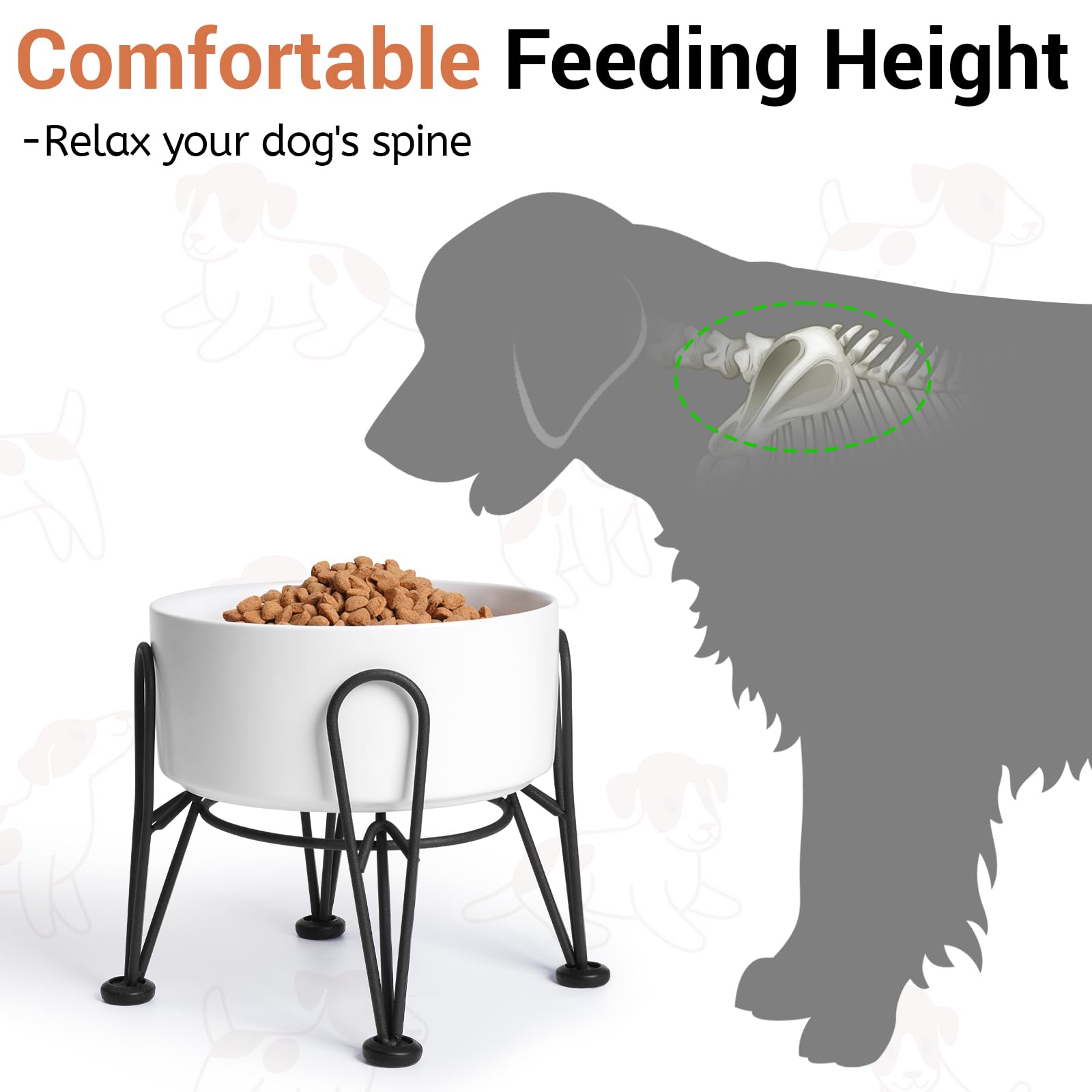 Kitwinney elevated bowls on black stand with anti-slip design.