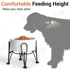 Kitwinney elevated bowls on black stand with anti-slip design.