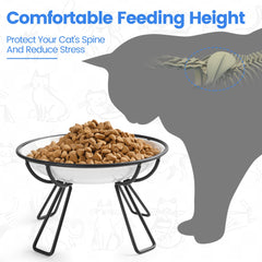 Kitwinney Elevated Stand with Crown Design keeps bowls stable during meals.