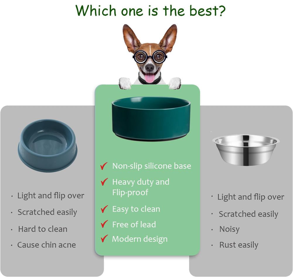 Kitwinney green ceramic bowl with silicone base for quiet feeding