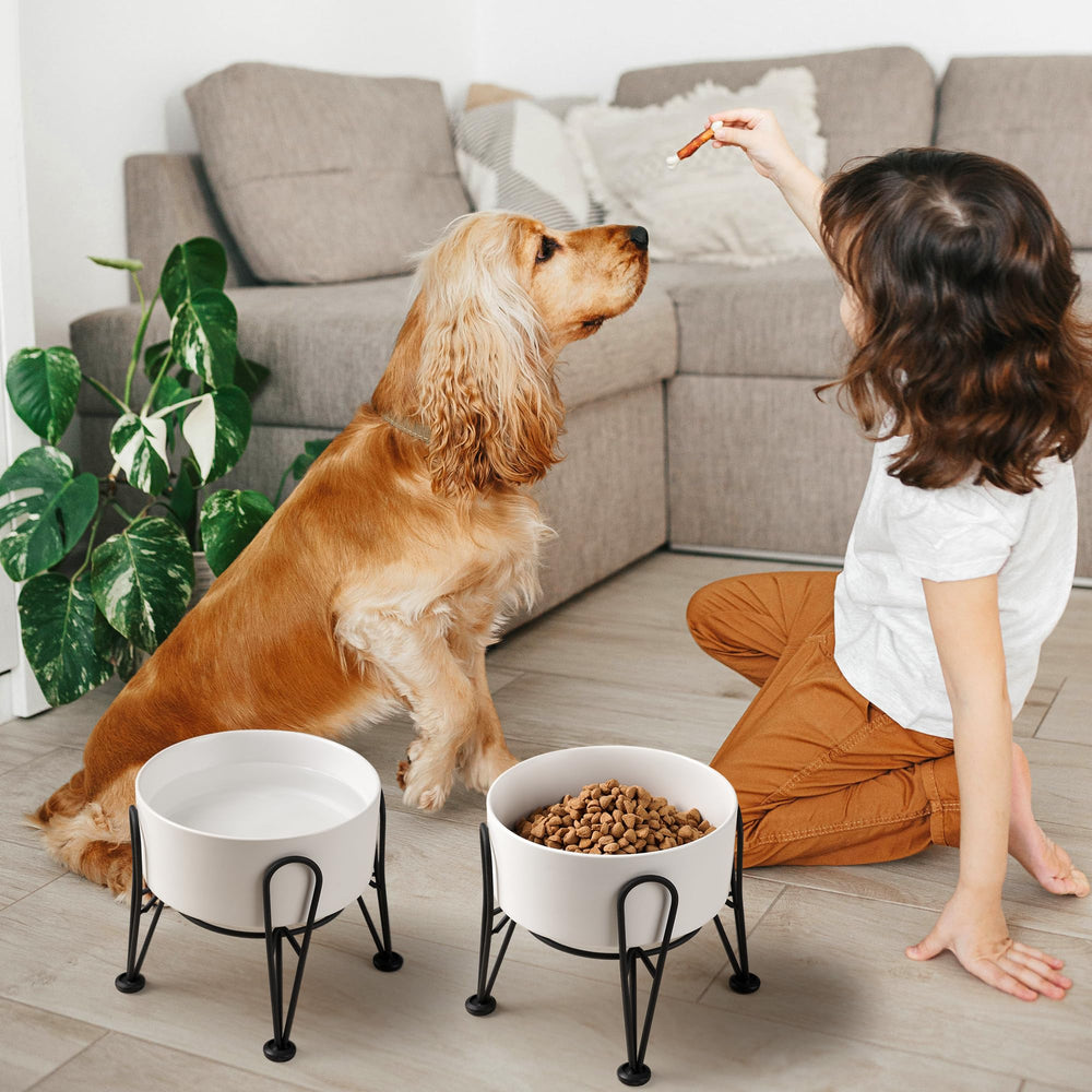Kitwinney two-bowl set suitable for small and medium dogs during meals.