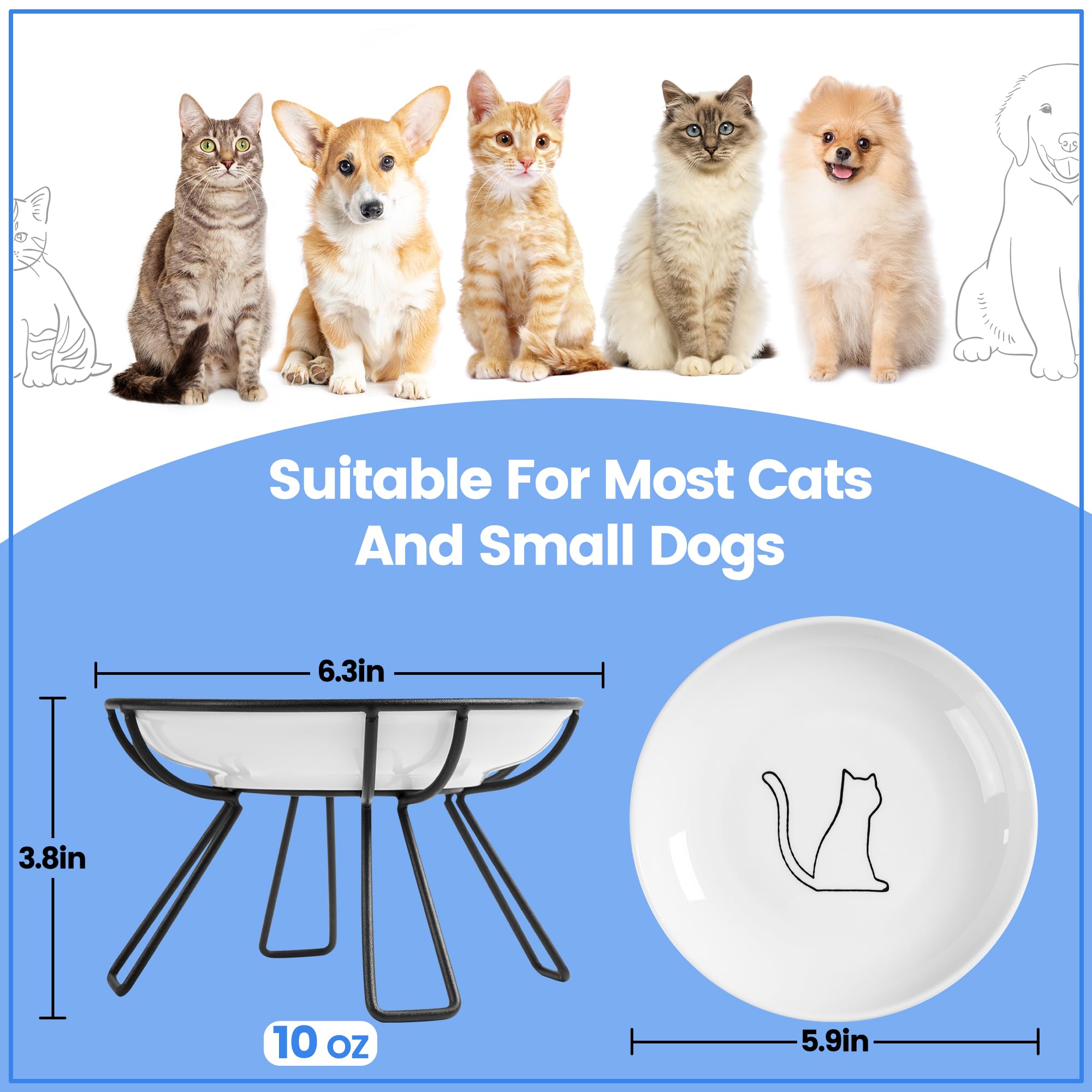 Kitwinney Whisker-Friendly Bowls reduce edge contact for comfortable dining.