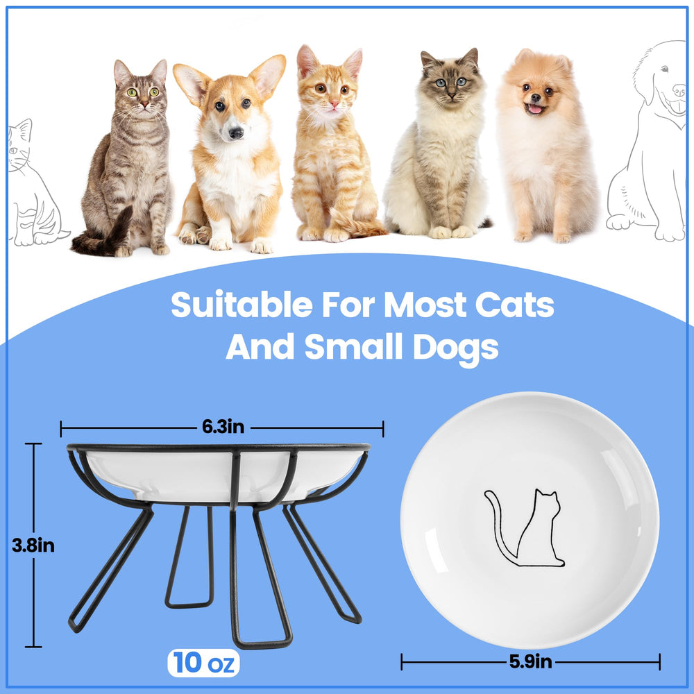 Kitwinney Whisker-Friendly Bowls reduce edge contact for comfortable dining.