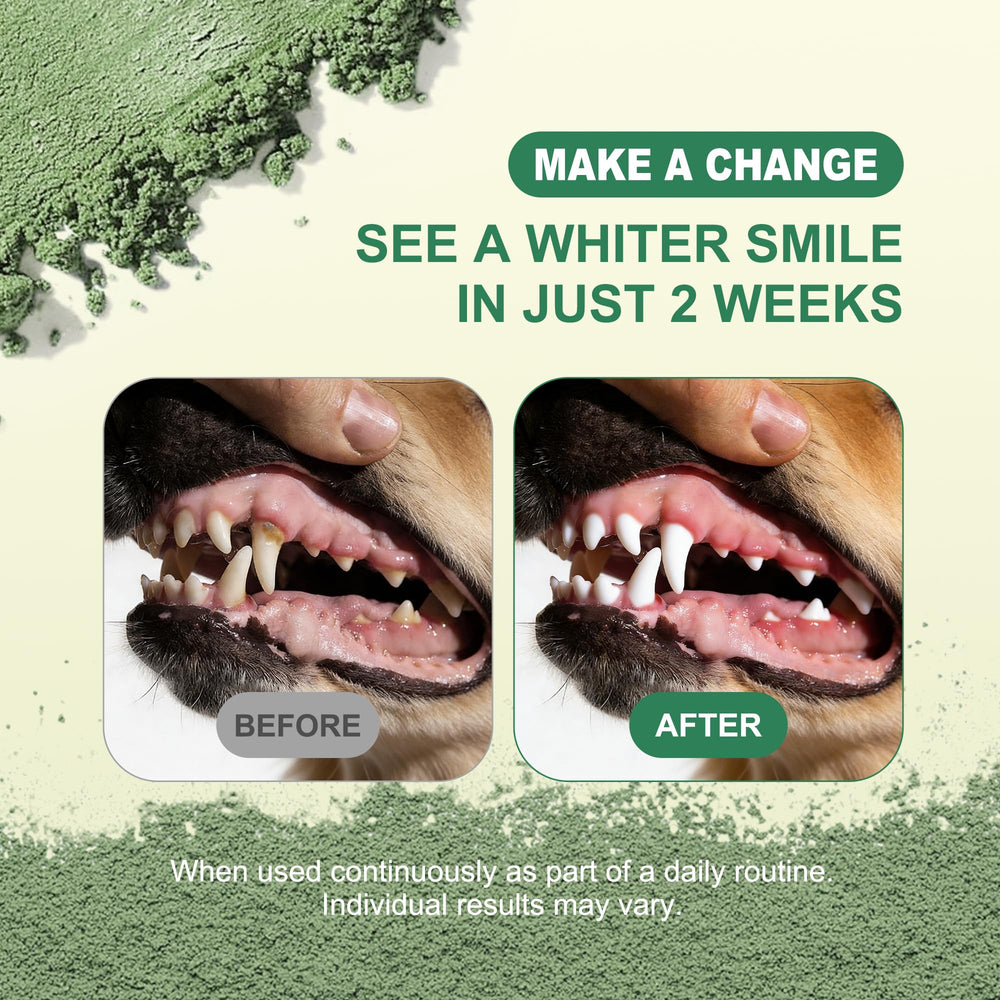 Kiuquty dental powder deep-cleaning formula with seaweed and probiotics for healthier gums.