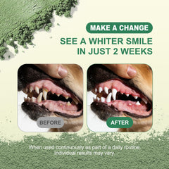 Kiuquty dental powder deep-cleaning formula with seaweed and probiotics for healthier gums.