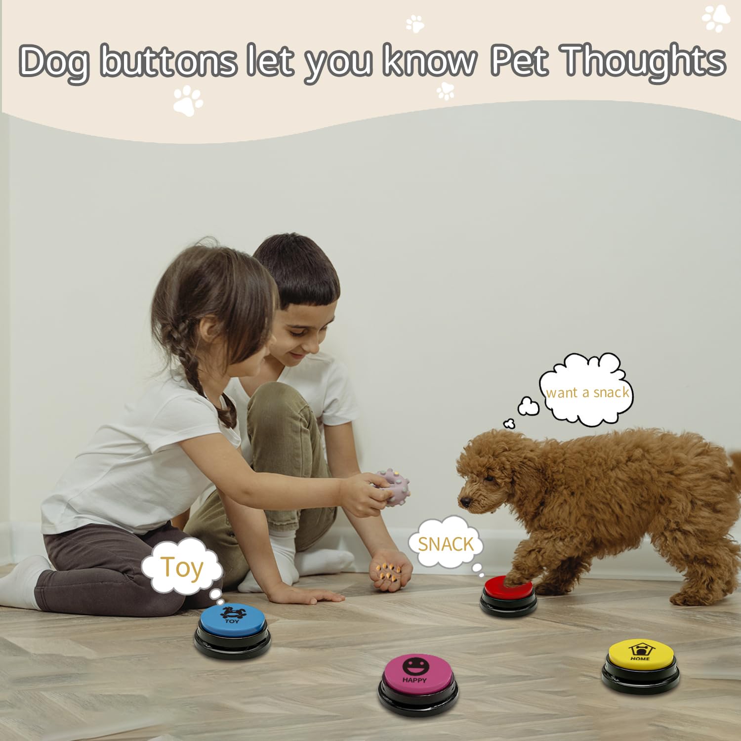 KiViRap pet training setup scene shows family-friendly interaction and enhanced communication