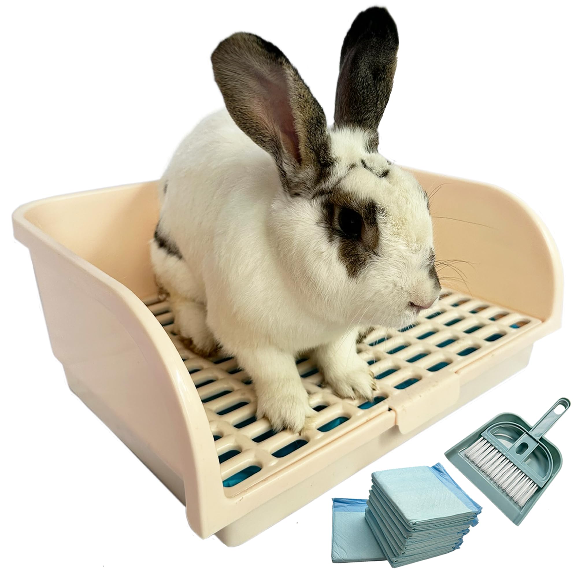 Kiwi & Mora Rabbit Litter Box front view; extra-large, reduces spills and keeps floors clean.