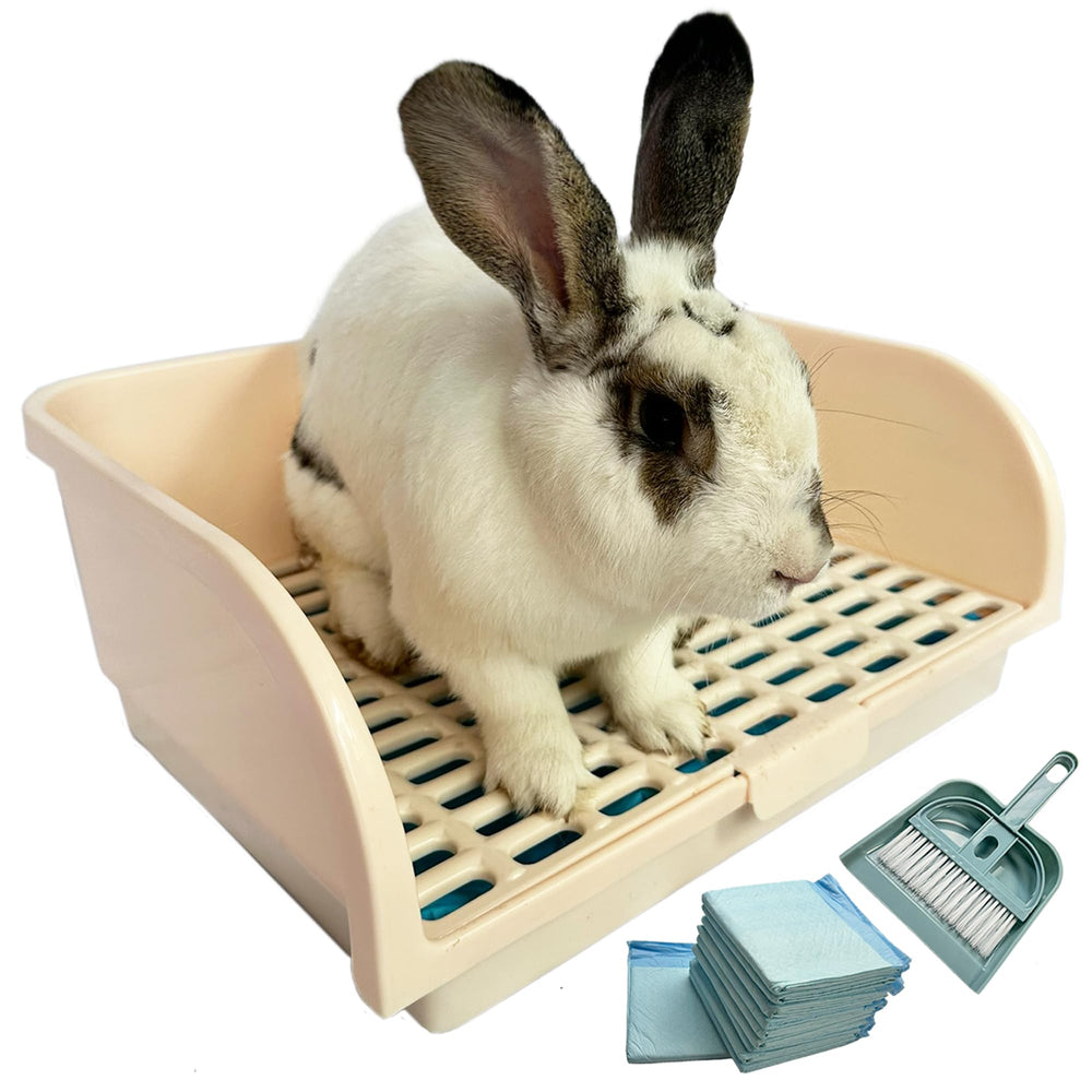 Kiwi & Mora Rabbit Litter Box front view; extra-large, reduces spills and keeps floors clean.