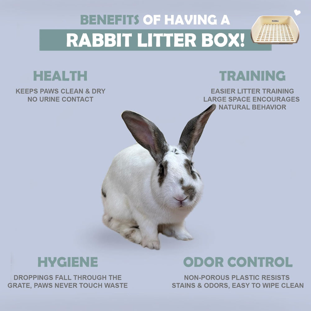 Kiwi & Mora low-entry design eases training and adoption for pets.
