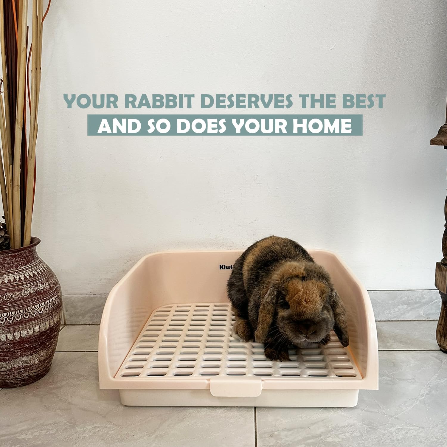 Kiwi & Mora litter box placed in a room corner to keep area neat and odor controlled.