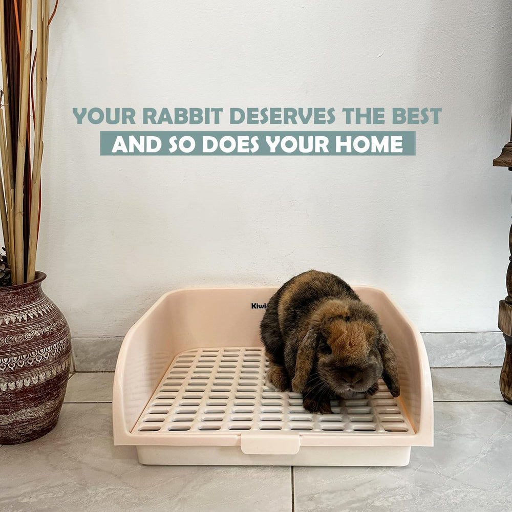 Kiwi & Mora litter box placed in a room corner to keep area neat and odor controlled.