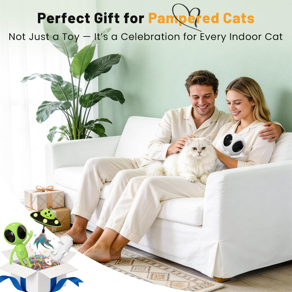KiwiLove cat laser toy includes dangling feathers and bells for tactile fun.