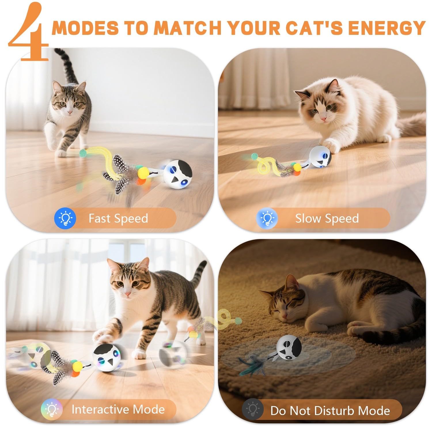 KiwiLove feather-tail chase toy sparks play for curious kittens.
