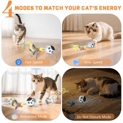KiwiLove feather-tail chase toy sparks play for curious kittens.