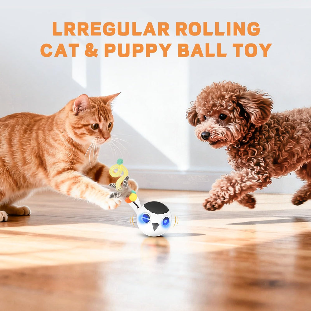 KiwiLove two feather tails white design stimulates playtime.