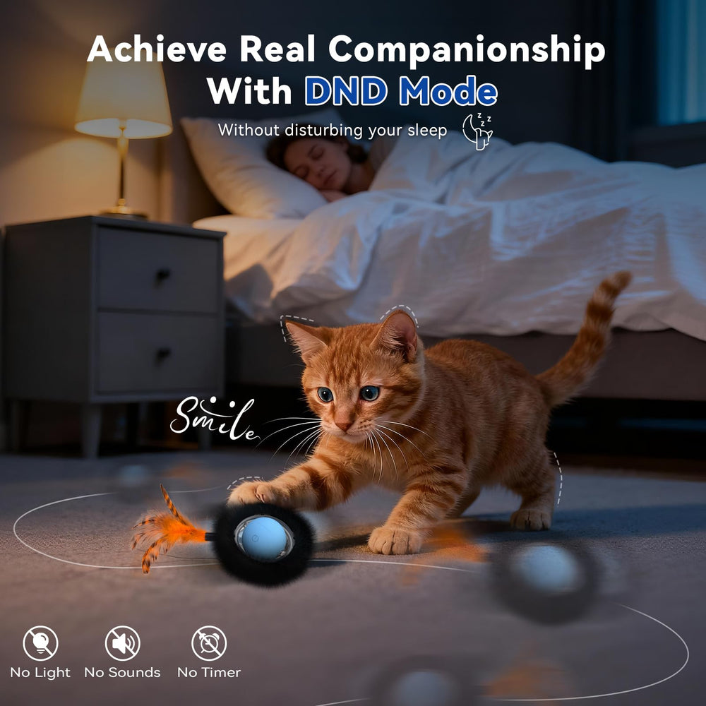 KiwiLove Do-Not-Disturb mode keeps nighttime enrichment quiet and unobtrusive.