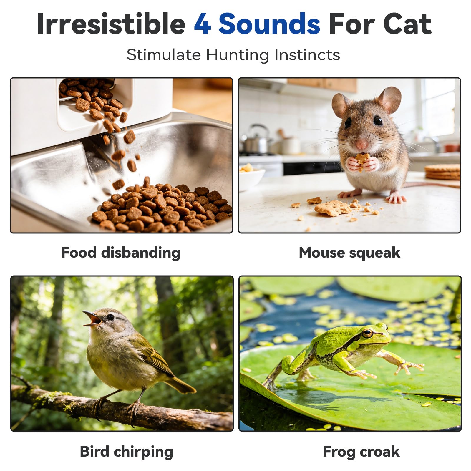 KiwiLove four-sounds option adds chirps, croaks, and rustling for play.