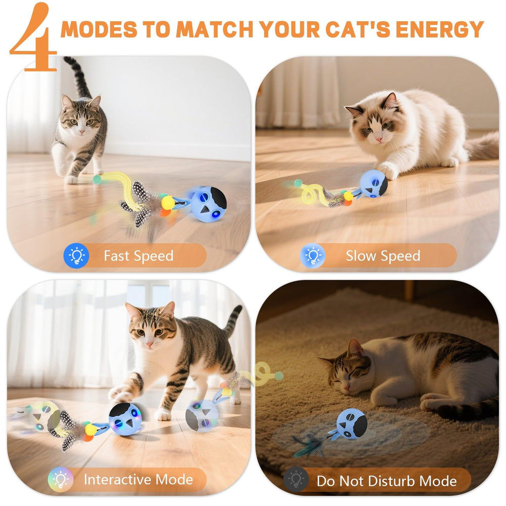 KiwiLove Interactive Toy Quick Mode blue boosts spontaneous chasing and activity.