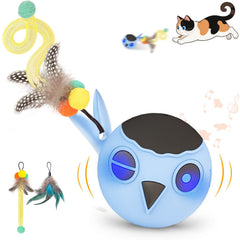 KiwiLove Motion Chirping Ball blue for engaging indoor play and active exercise.