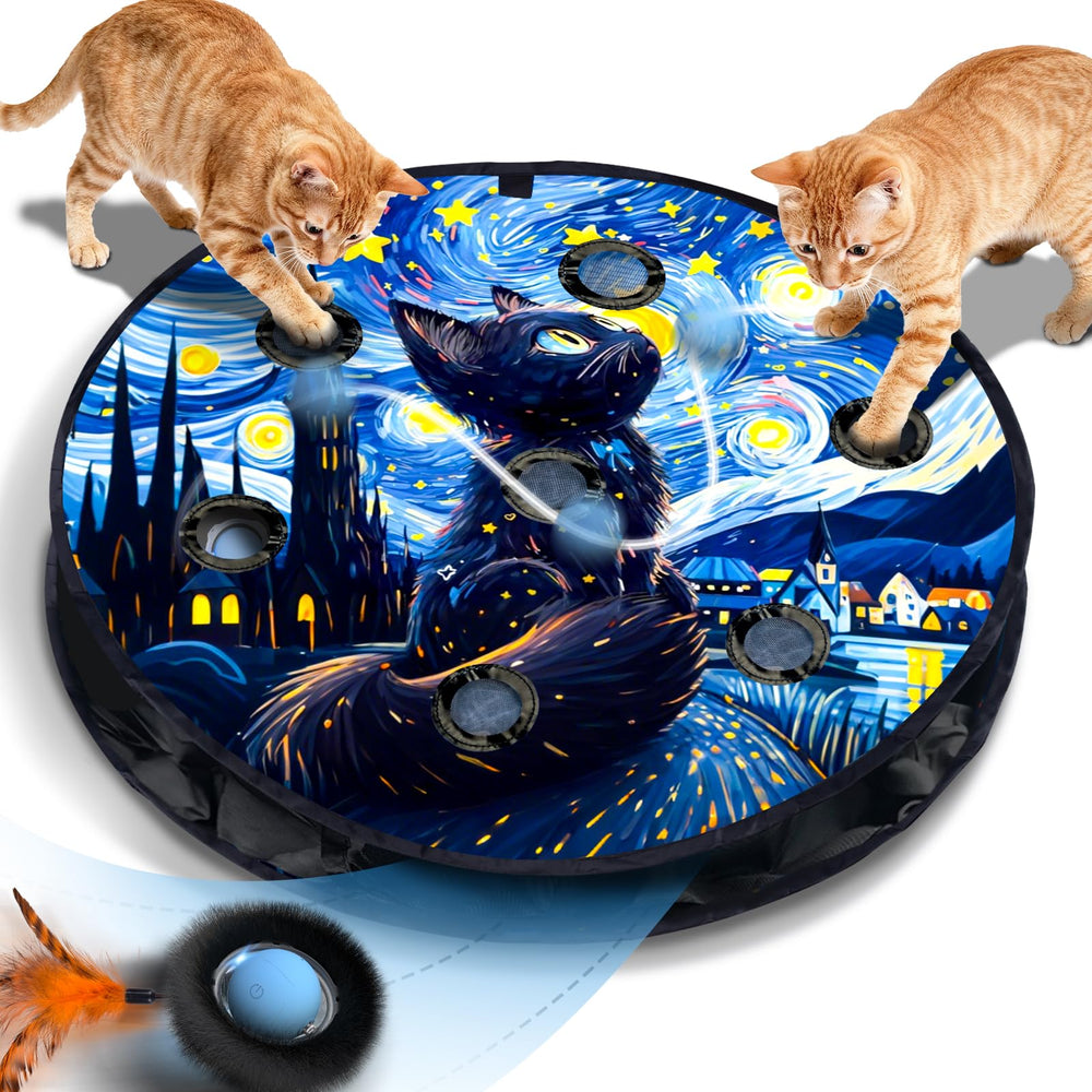KiwiLove Starry Night ball demonstrates motion-activated play for indoor cats.