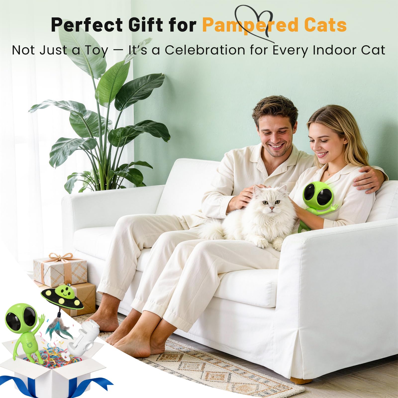 KiwiLove toy supports two cats with shared entertainment.