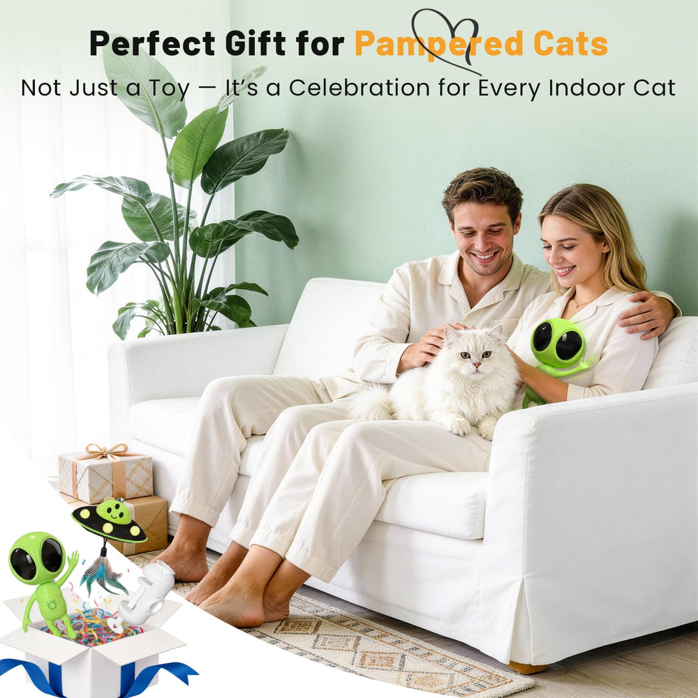 KiwiLove toy supports two cats with shared entertainment.