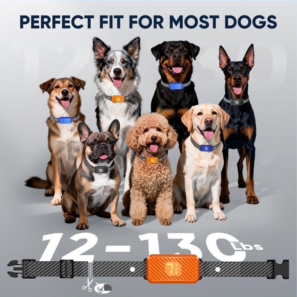 KJKZO lightweight adjustable fit suitable for small to large dogs