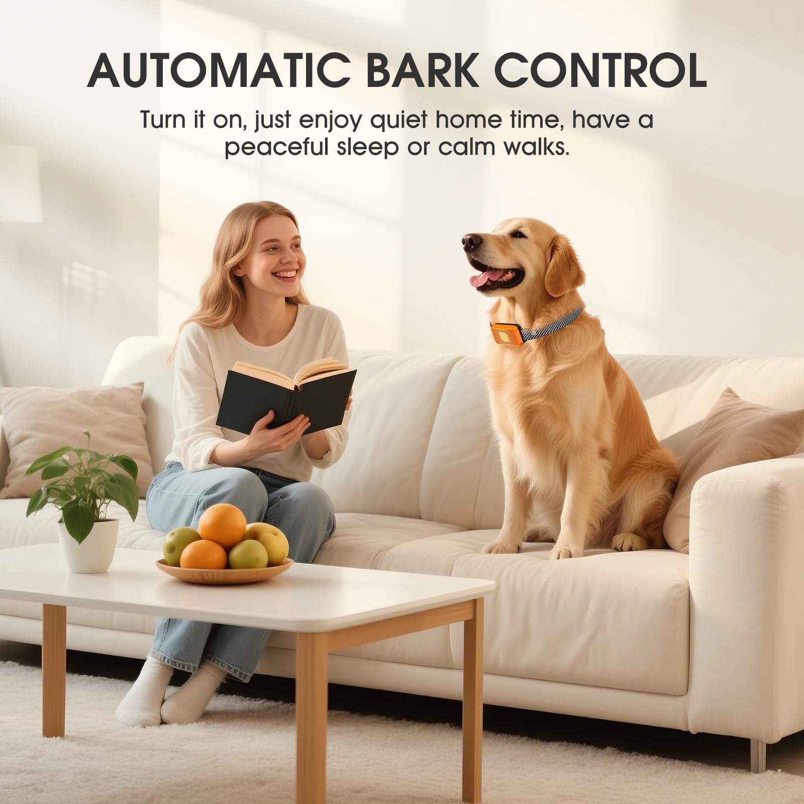KJKZO bark collar packaging with quick-start guide shown.